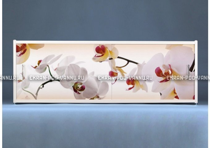 Раздвижной ФОТО экран - Orchid – купить по цене 8500 руб. в интернет-магазине в городе Тюмень картинка 1