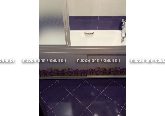 Экран на роликах EUROPLEX  Ирисы – купить по цене 12400 руб. в интернет-магазине в городе Тюмень картинка 4
