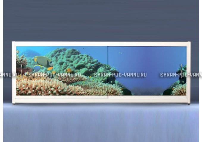 Экран на роликах EUROPLEX Коралловые рифы – купить по цене 12400 руб. в интернет-магазине в городе Тюмень картинка 1